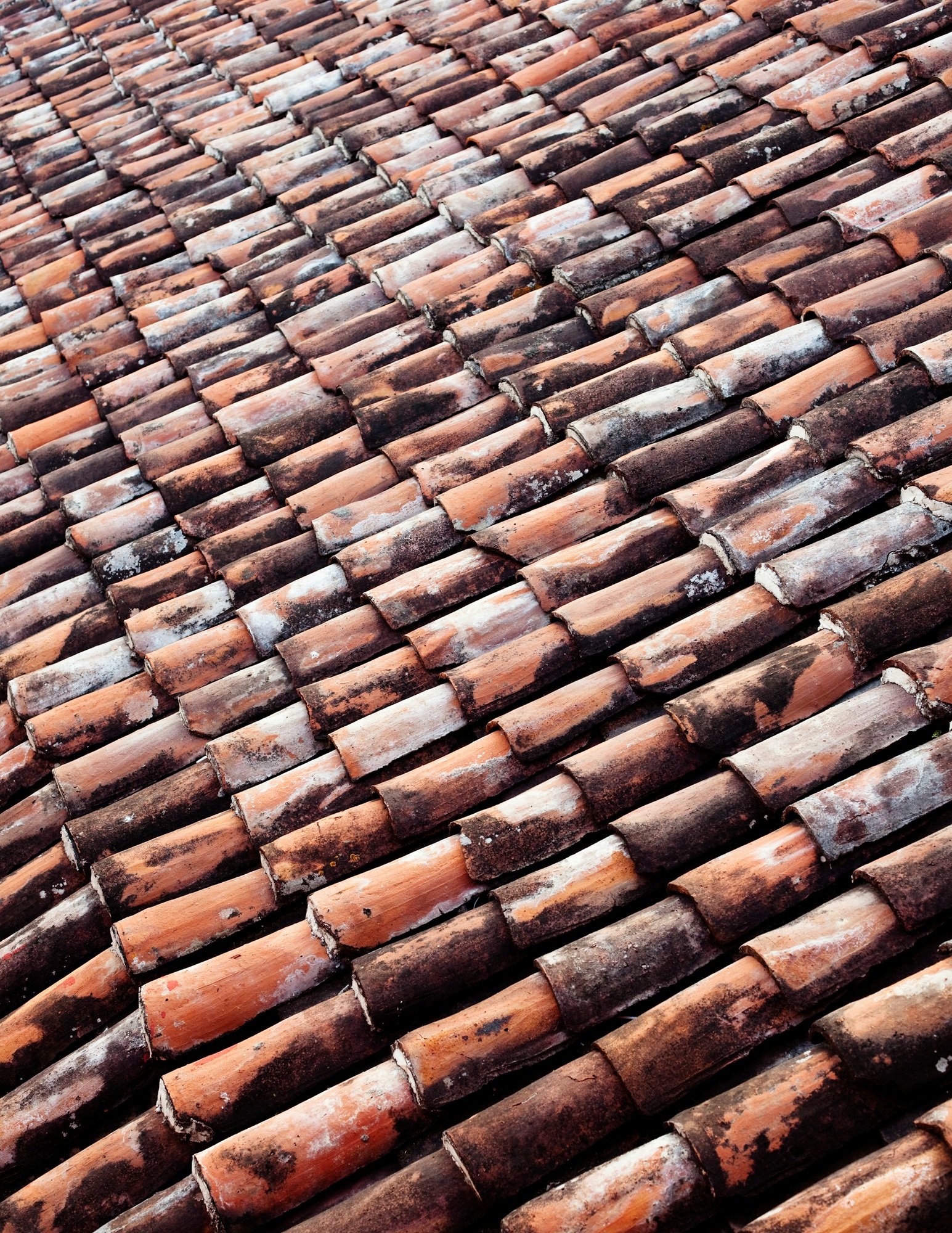 Clay roof tiles, full frame